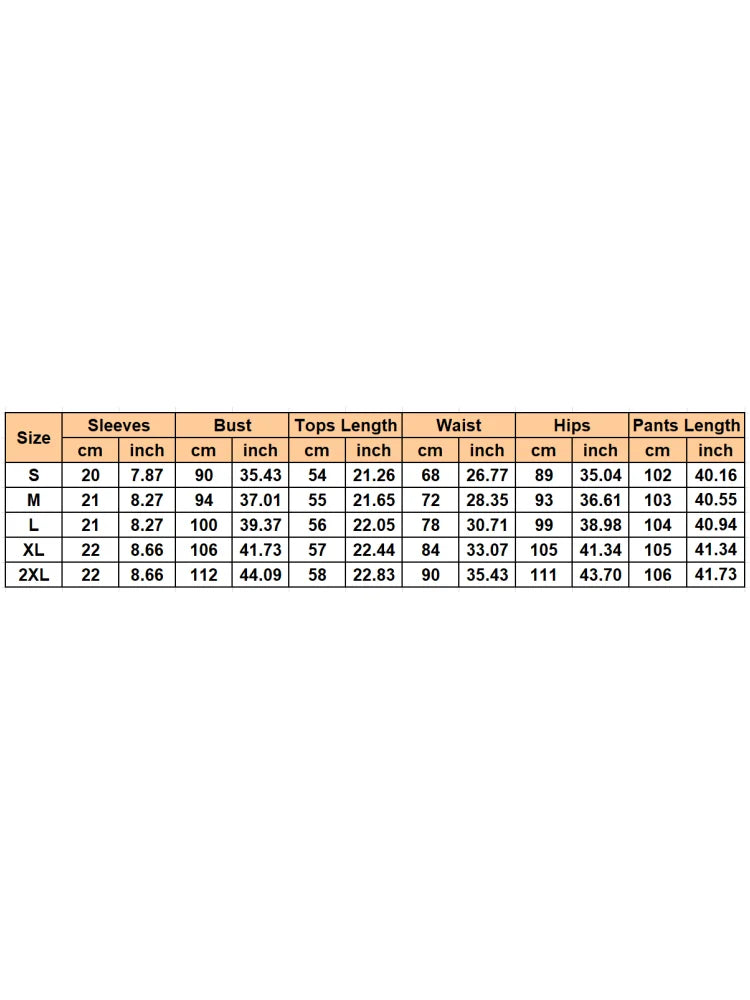 2 Piece Women Set Summer Autumn Short Sleeve Shirt Blouse Top And Pants Suits Outfits Fashion Office Lady Matching Sets Outfit