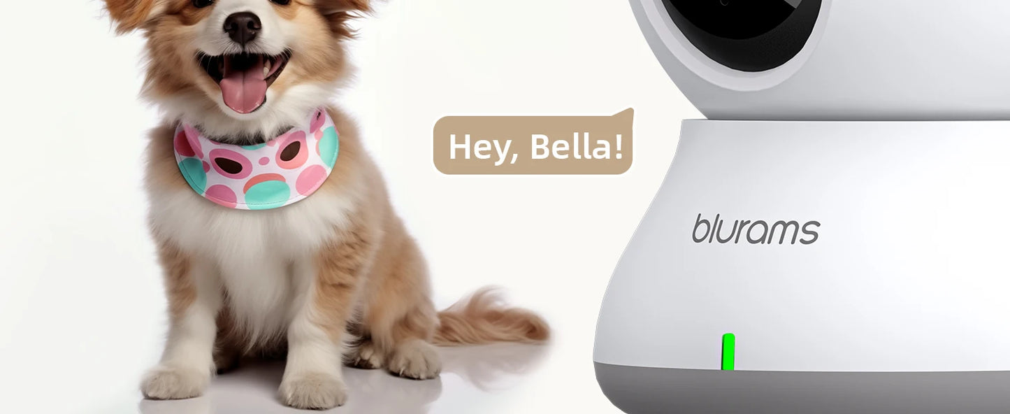 2.4&5G WiFi Indoor Camera, 2K, 360° PTZ Pet Dog IP CCTV Camera with Phone App, 2-Way Talk, Night Vision, for Home Securi