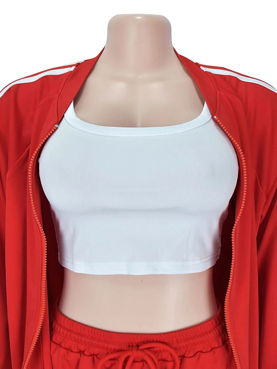 ZIML Minimalist Two Piece Sets For Women Stand Collar Long Sleeve Spliced Zipper Tops High Waist Shorts Chic Set Female Fashion