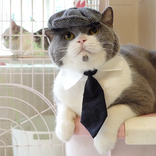 Funny Pet Cat Hat Gentleman's Hat Beret Tie Bathing Blood Gangster Handsome Cosplay Photo Prop Pet Halloween Costume